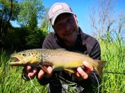 Chalk stream Brown trout May